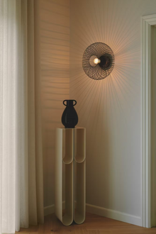Beroni Ceiling Light in Black