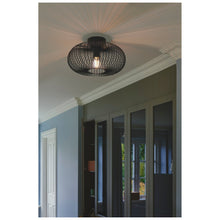 Beroni Ceiling Light in Black