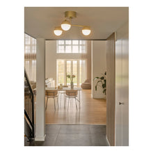 Contina Ceiling Light