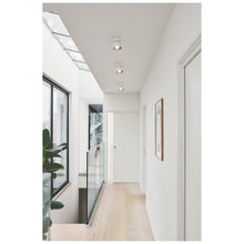 Pitcher Ceiling Spot Light
