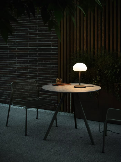 Sponge On A Stick Battery Light