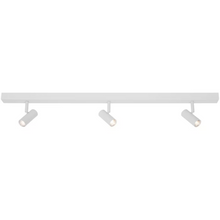 Omari 3-Spot Ceiling Spotlight