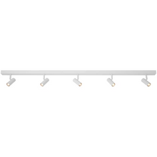 Omari 5-Spot Ceiling Spotlight