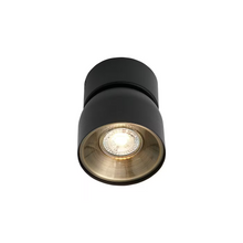 Pitcher Ceiling Spot Light