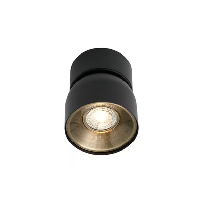 Pitcher Ceiling Spot Light