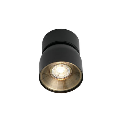 Pitcher Ceiling Spot Light
