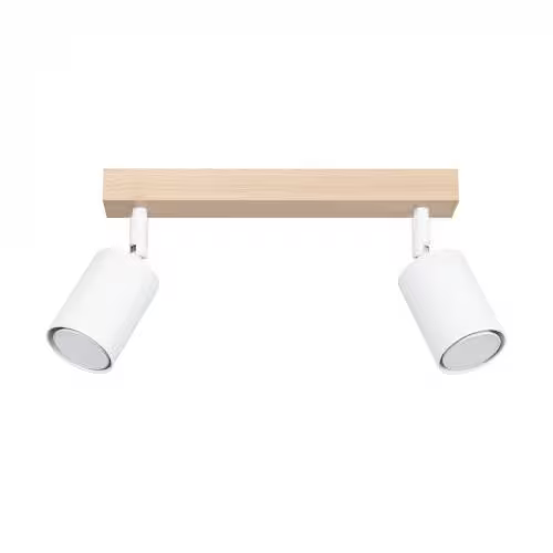 Verdo 2 Ceiling Light