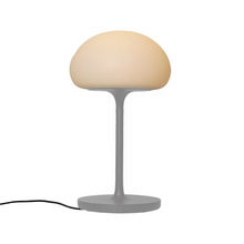 Sponge On A Stick Battery Light