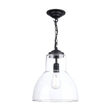 David Hunt Upton 1-Light Pendant