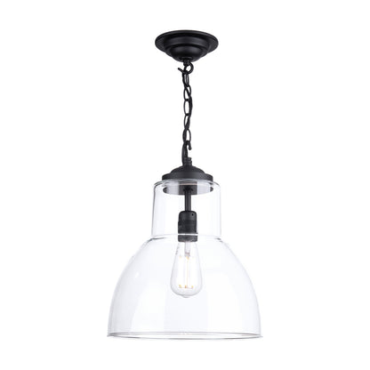 David Hunt Upton 1-Light Pendant
