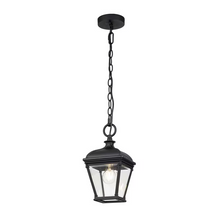 Bayview 1-Light Medium Chain Lantern