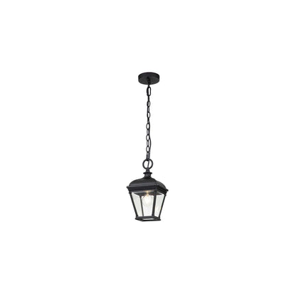 Bayview 1-Light Medium Chain Lantern in Black