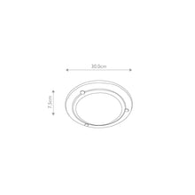 Berwick 1-Light Flush in Black
