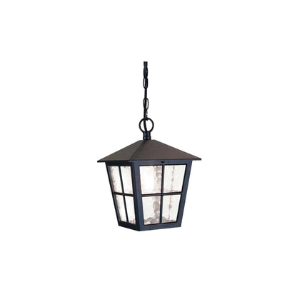 Canterbury 1-Light Chain Lantern in Black