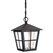 Canterbury 1-Light Chain Lantern in Black