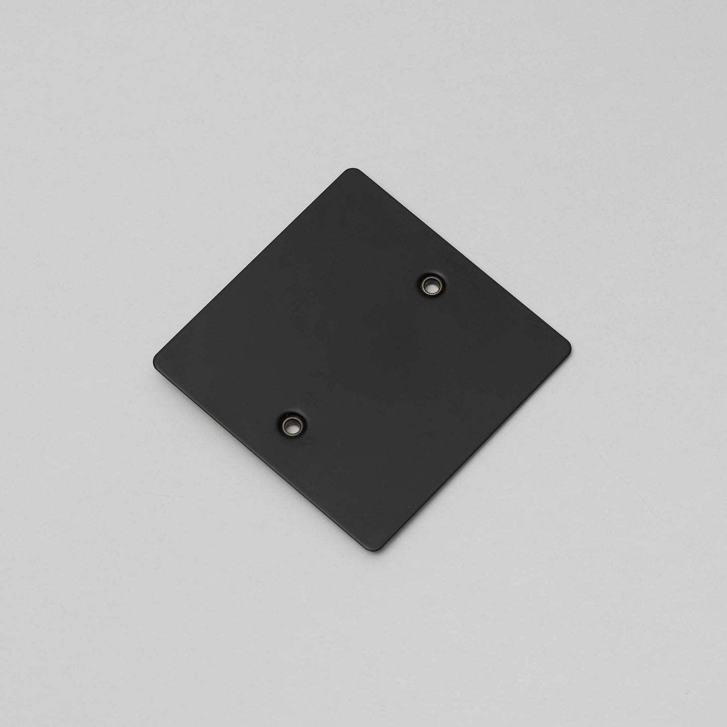 Buster and Punch 1G Wall Plate