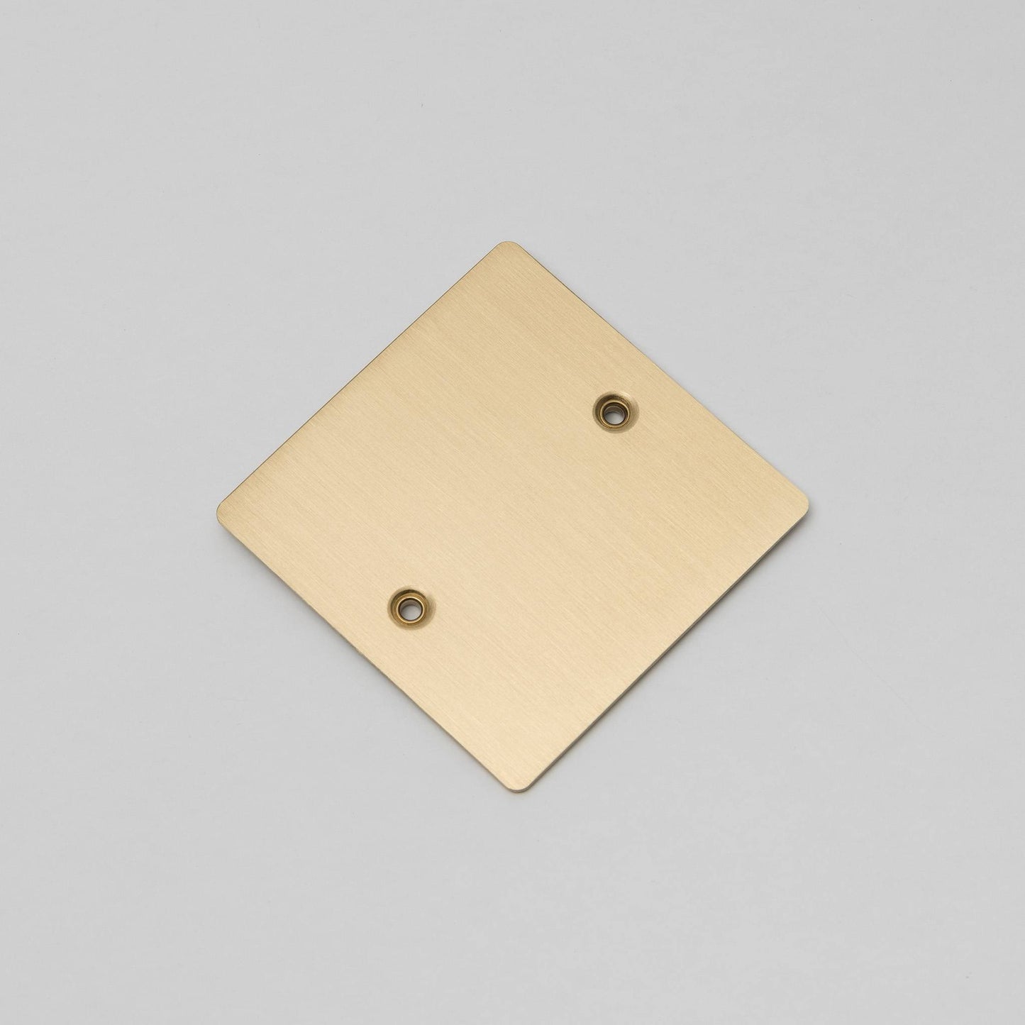 Buster and Punch 1G Wall Plate