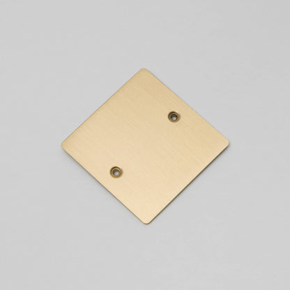 Buster and Punch 1G Wall Plate