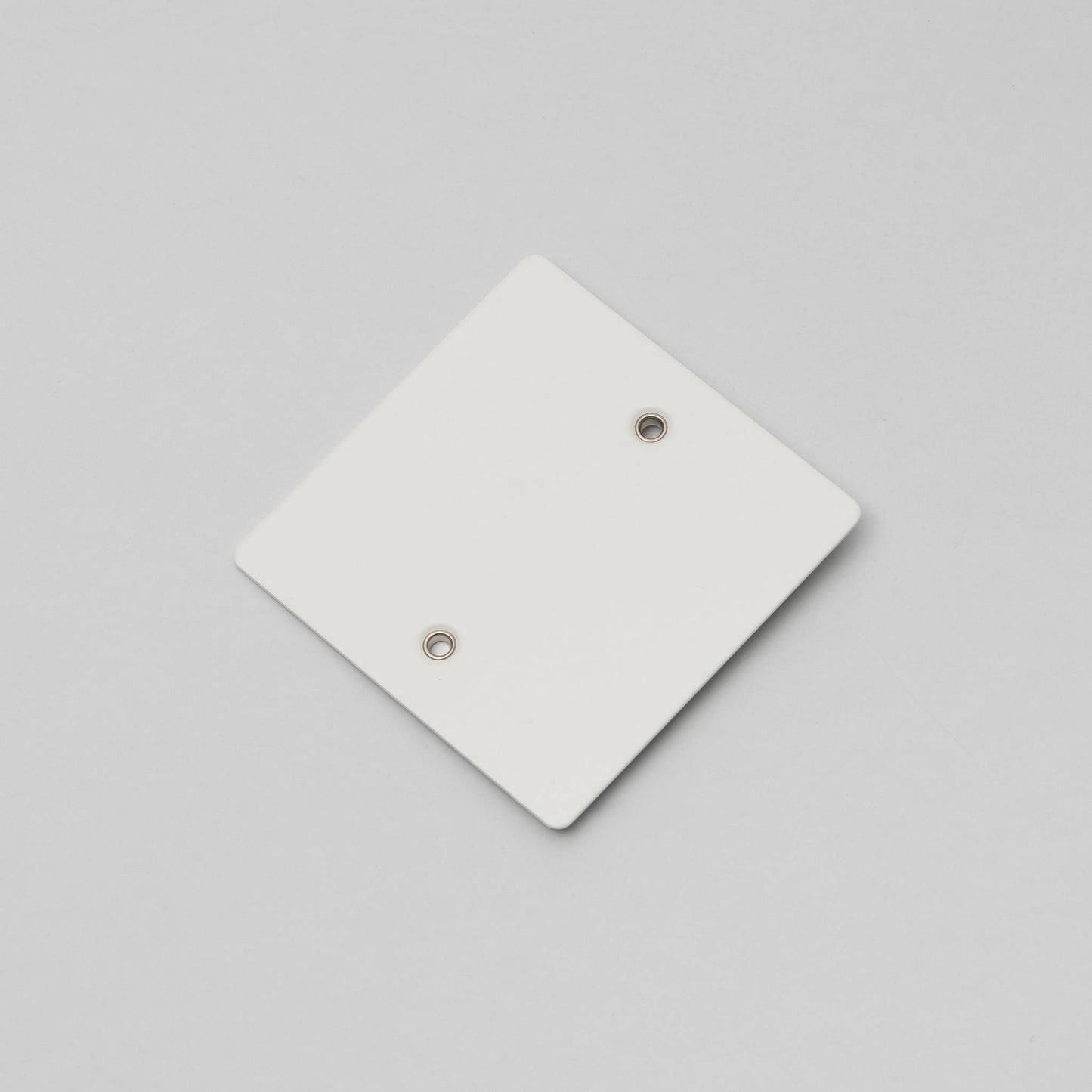 Buster and Punch 1G Wall Plate
