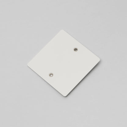Buster and Punch 1G Wall Plate