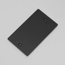 Buster and Punch 1G Wall Plate