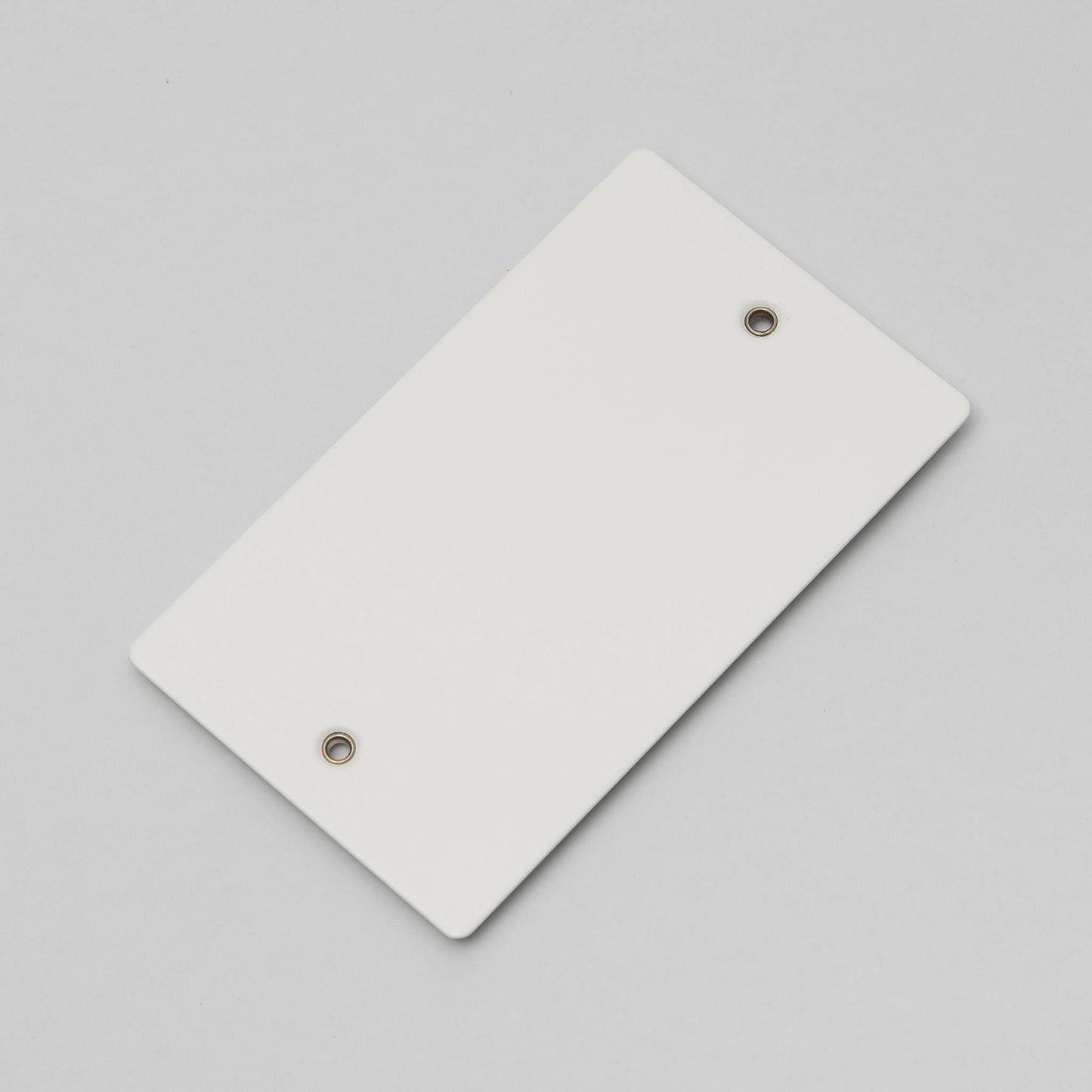 Buster and Punch 1G Wall Plate
