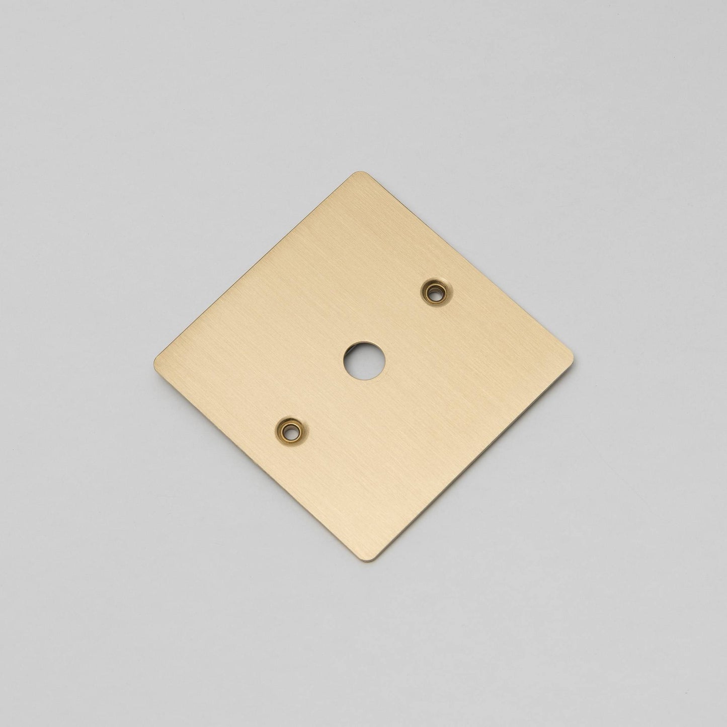 Buster and Punch 1G Wall Plate