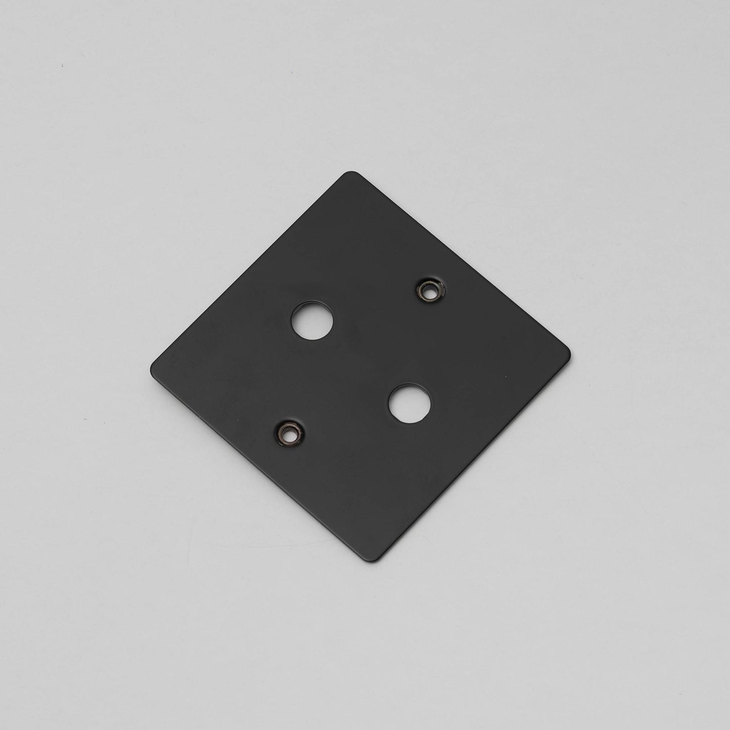 Buster and Punch 1G Wall Plate