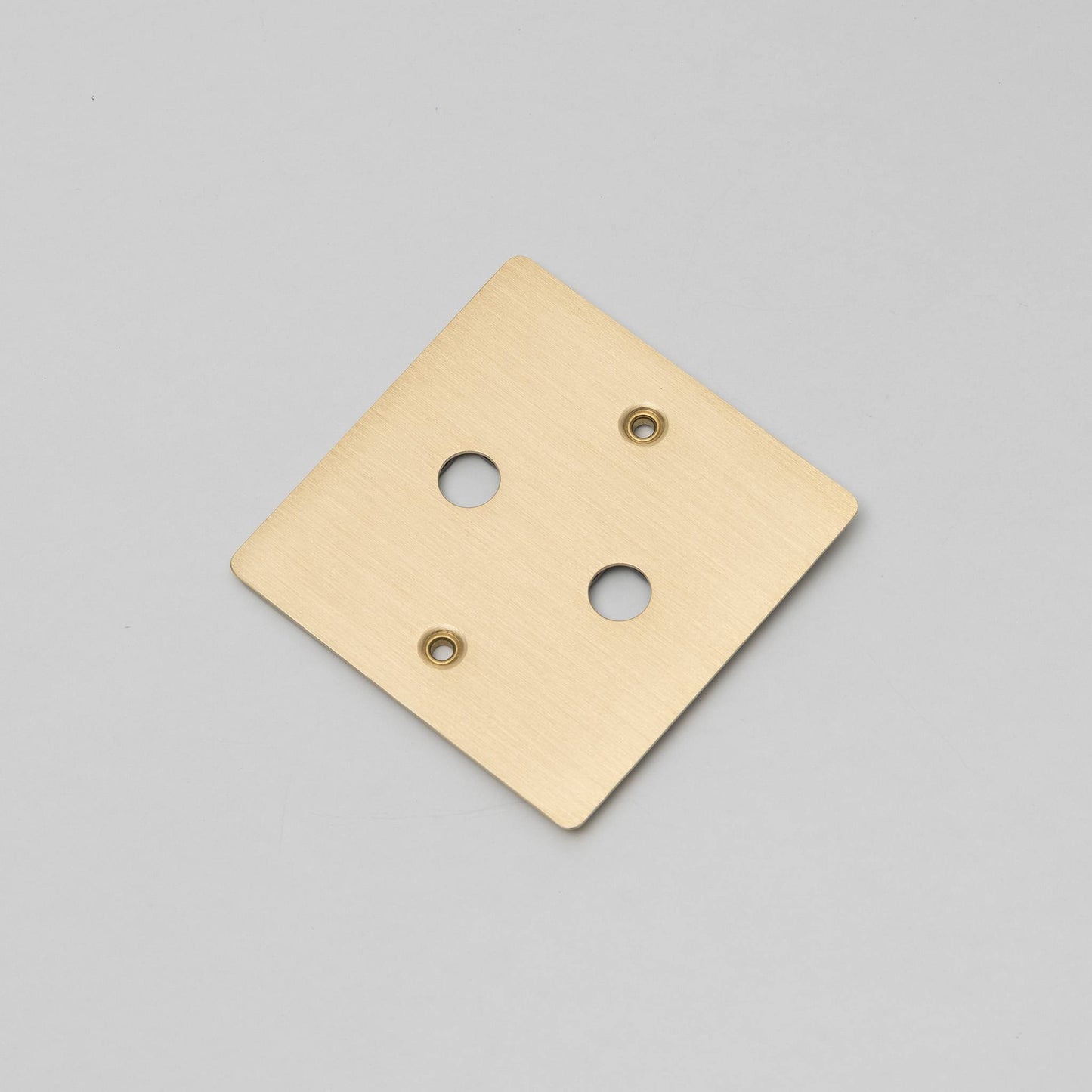Buster and Punch 1G Wall Plate