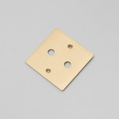 Buster and Punch 1G Wall Plate