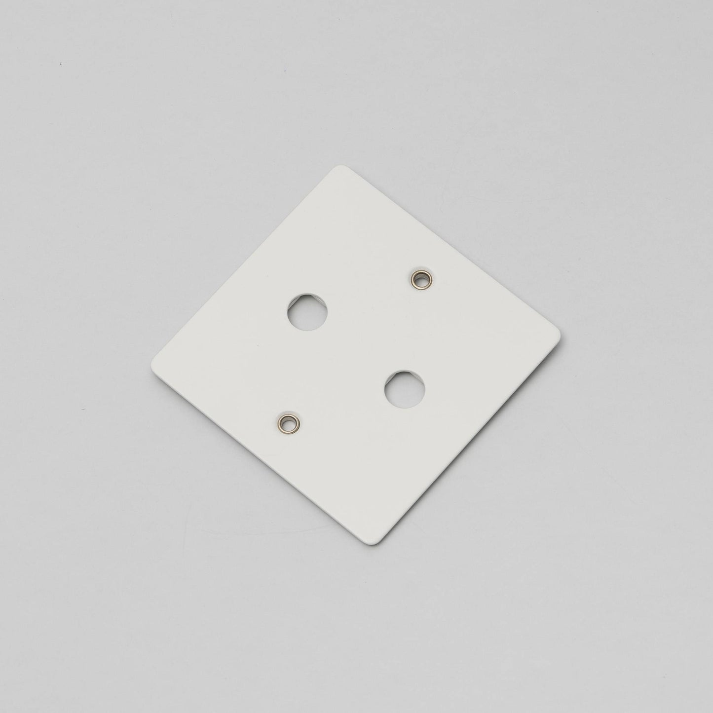 Buster and Punch 1G Wall Plate