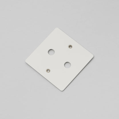 Buster and Punch 1G Wall Plate