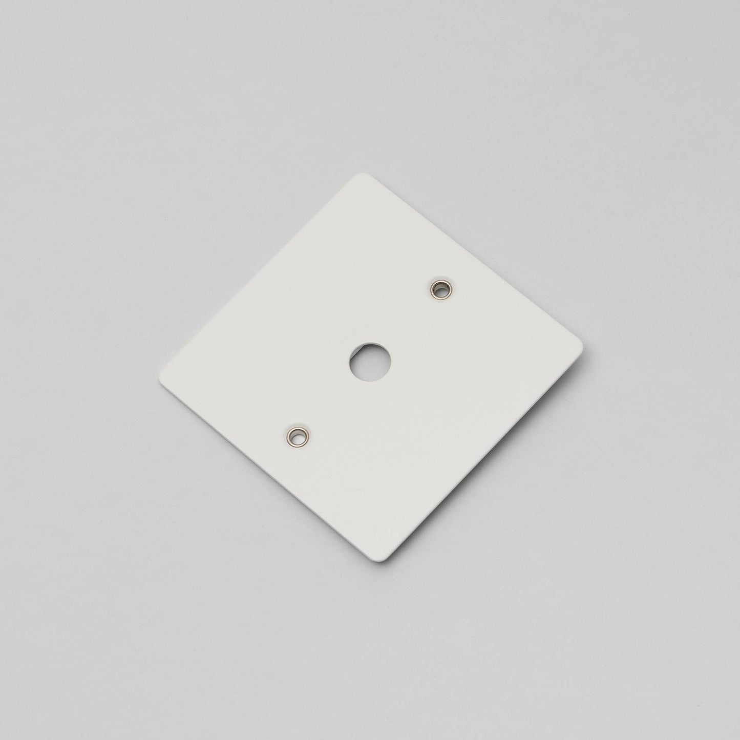 Buster and Punch 1G Wall Plate