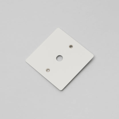 Buster and Punch 1G Wall Plate