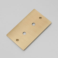 Buster and Punch 2G Metal Wall Plate