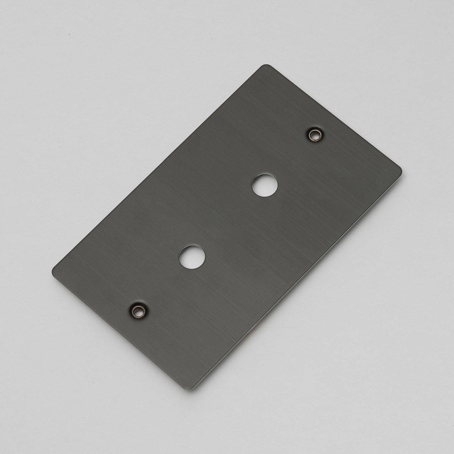 Buster and Punch 2G Metal Wall Plate