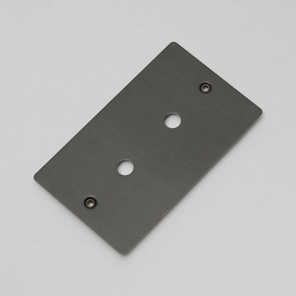 Buster and Punch 2G Metal Wall Plate