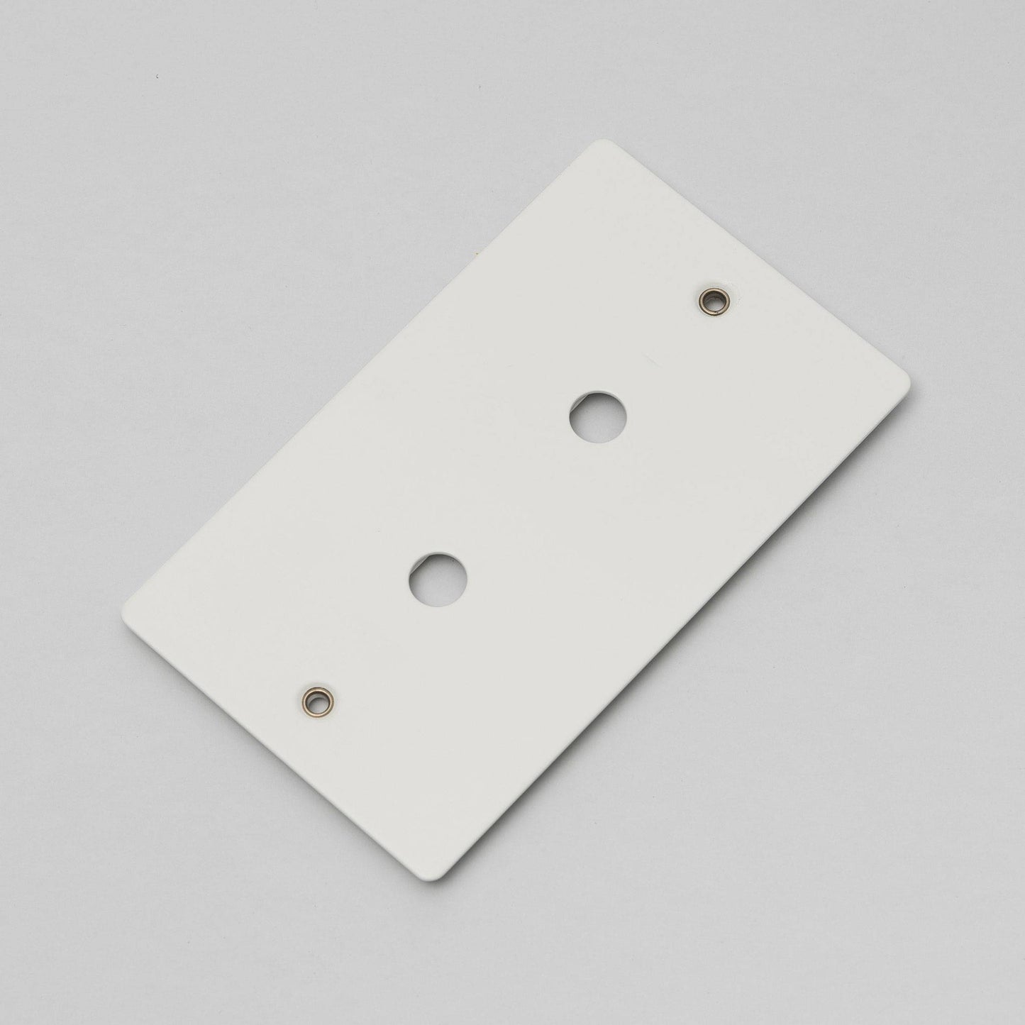 Buster and Punch 2G Metal Wall Plate