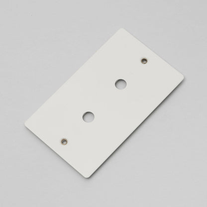 Buster and Punch 2G Metal Wall Plate