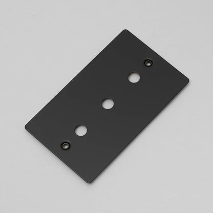 Buster and Punch Wall Plate
