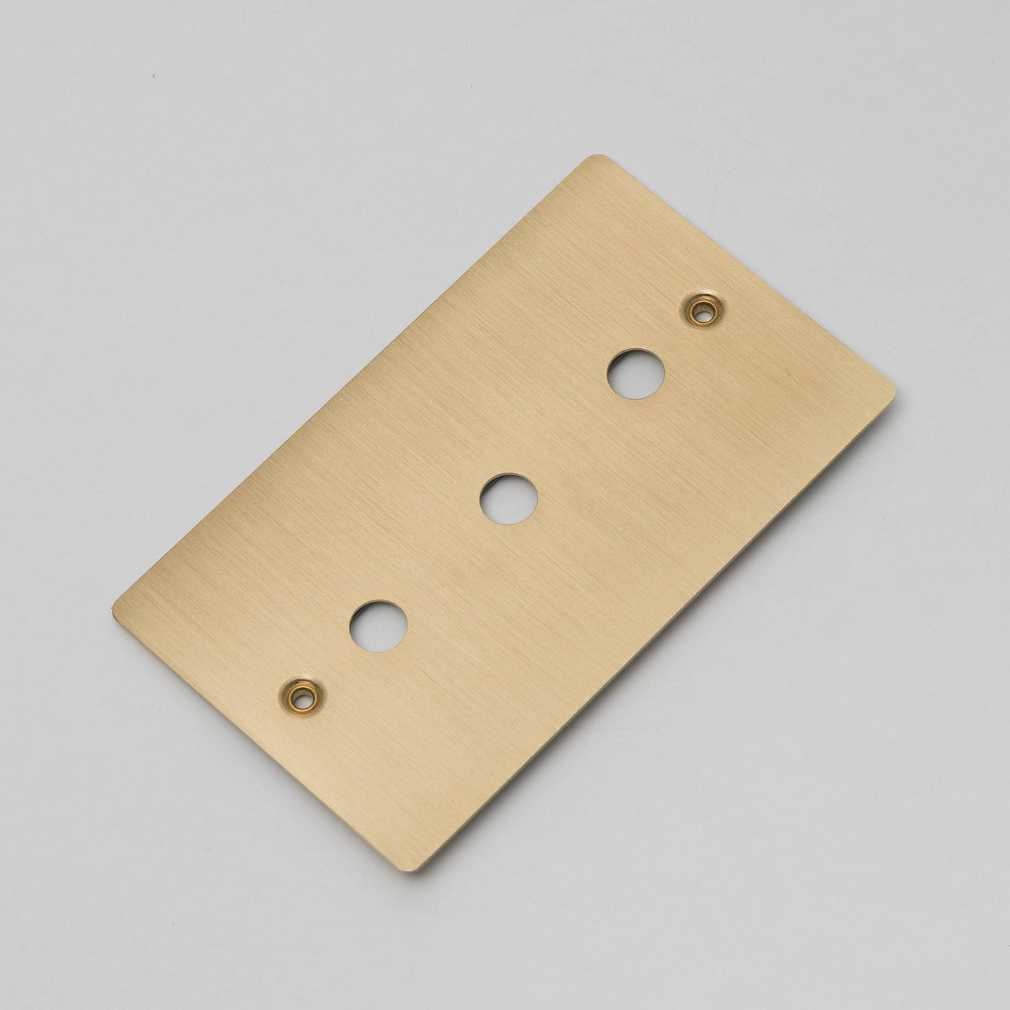 Buster and Punch Wall Plate