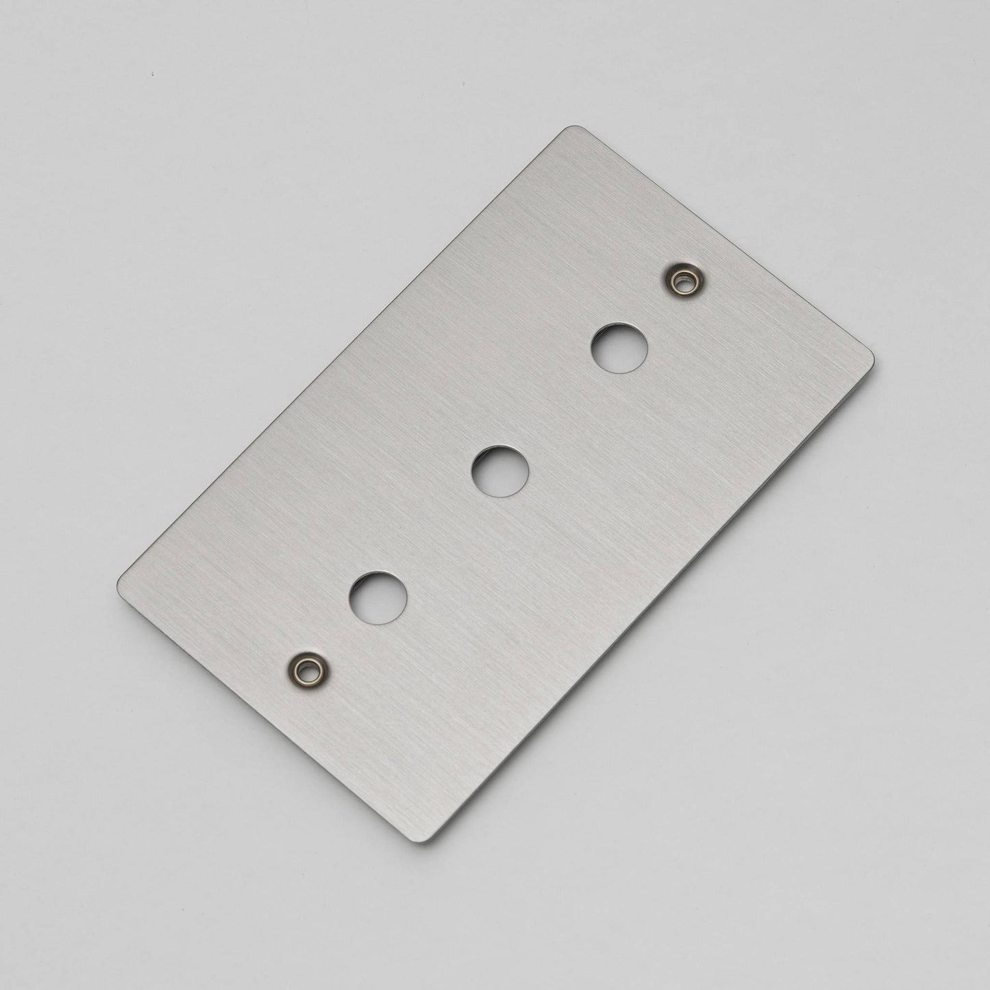 Buster and Punch Wall Plate