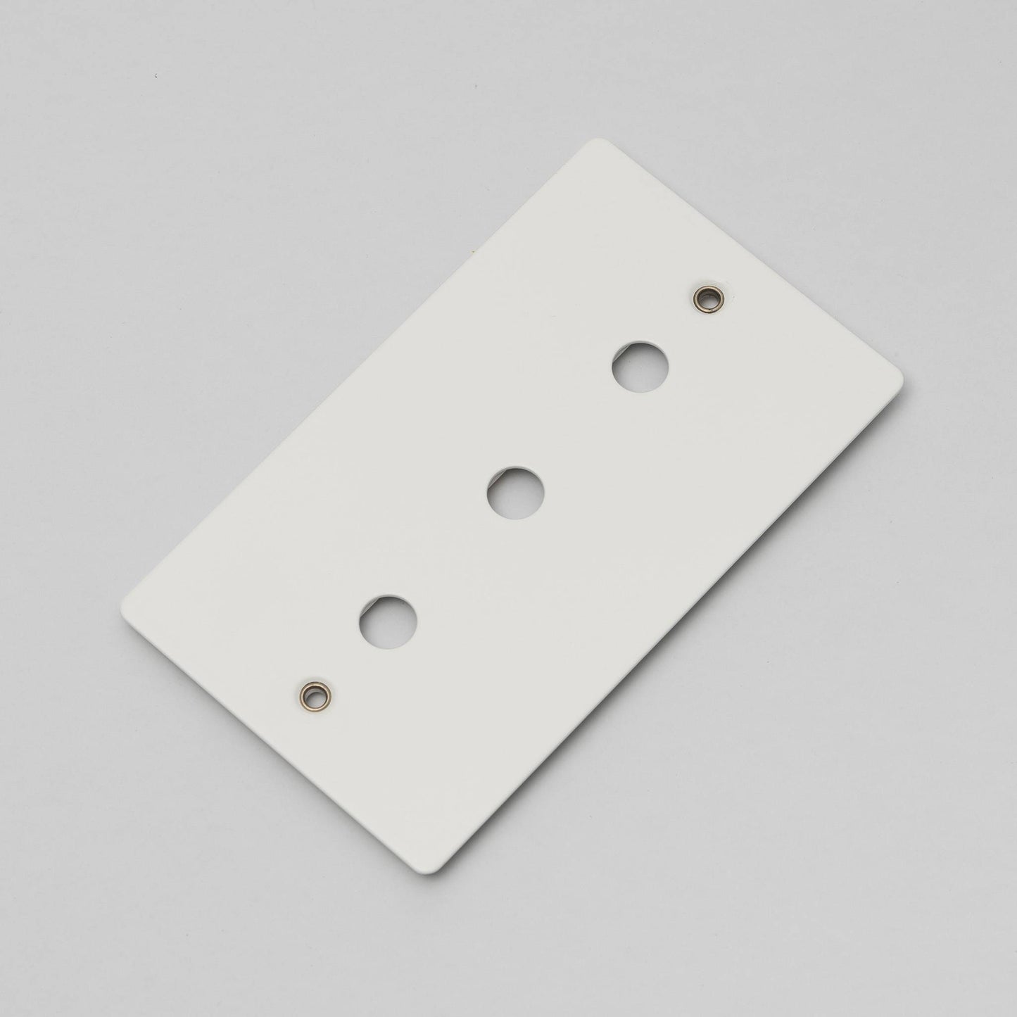 Buster and Punch Wall Plate