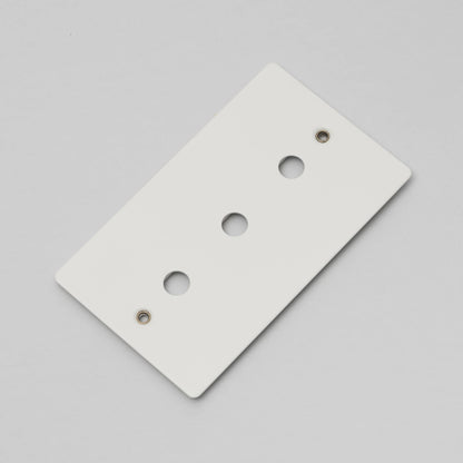 Buster and Punch Wall Plate