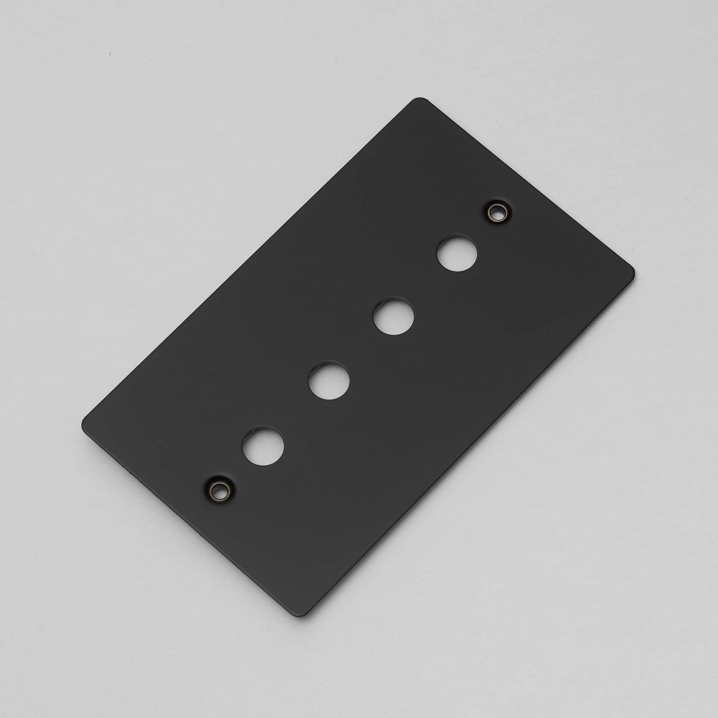 Buster and Punch 1G Wall Plate