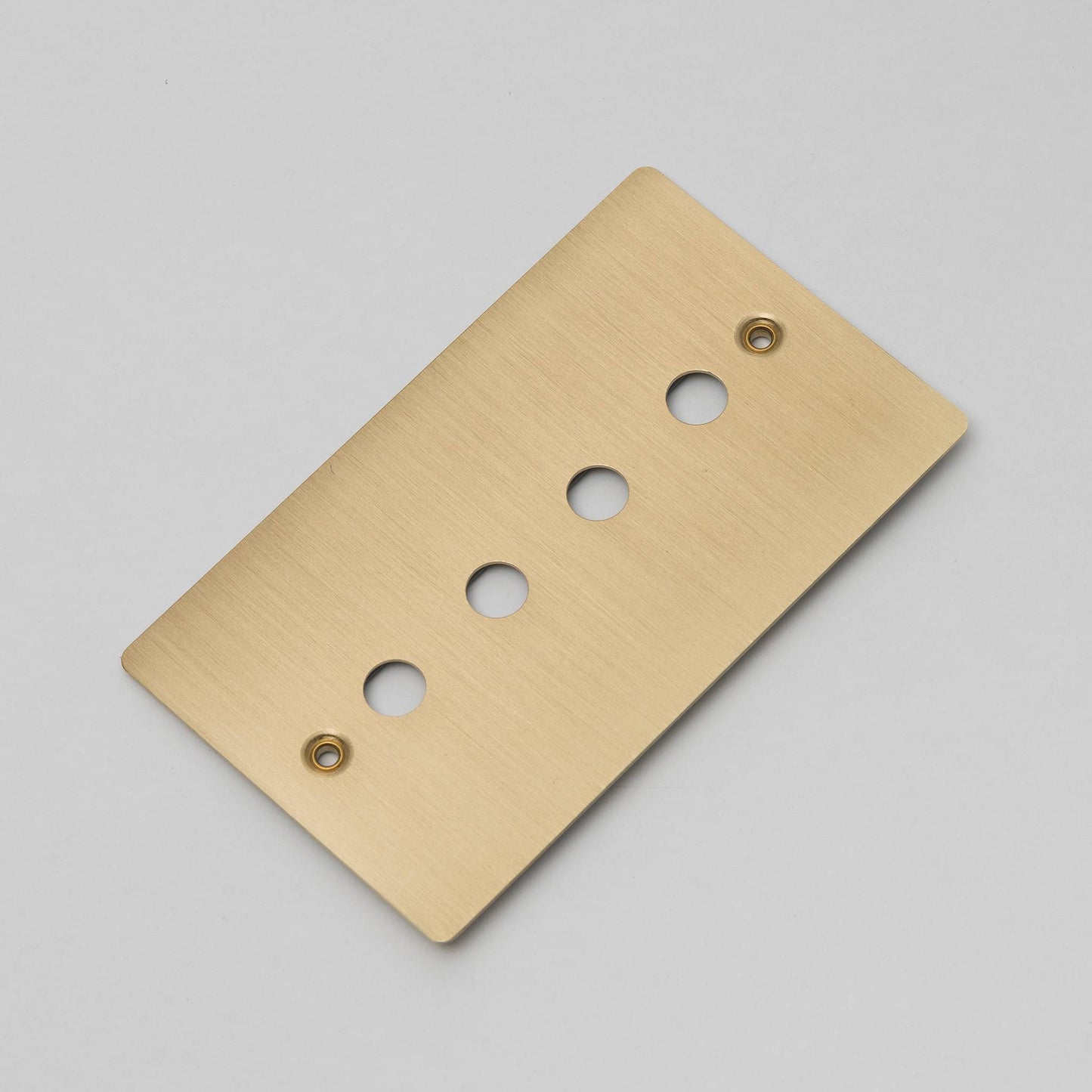 Buster and Punch 1G Wall Plate