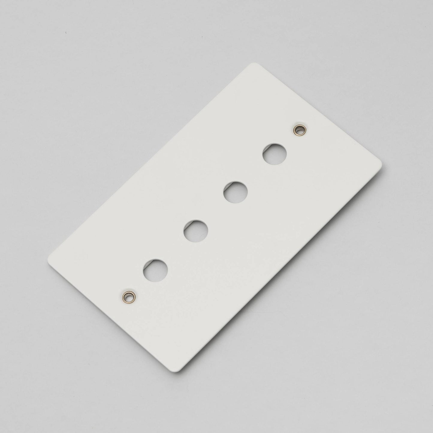 Buster and Punch 1G Wall Plate
