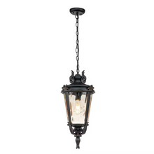 Baltimore 1-Light Chain Lantern in Weathered Bronze