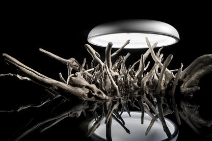 Stilnovo Reflexio Ceiling/Wall Light