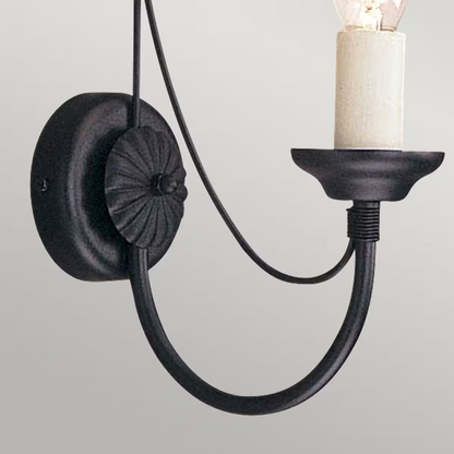Carisbrooke 1-Light Wall Light in Black